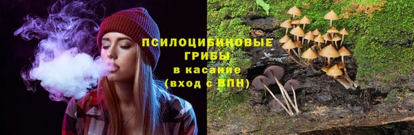 трава Зеленокумск