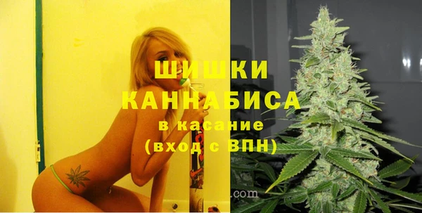 стаф Зерноград