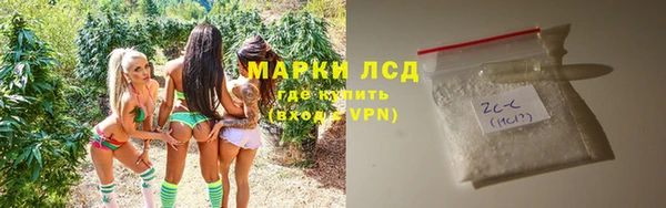 стаф Зерноград